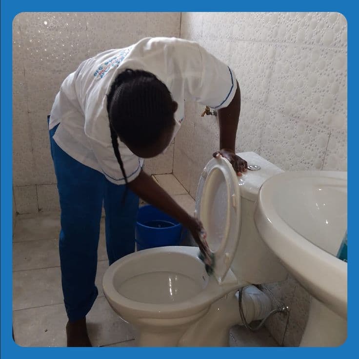 Cleaner disinfecting a toilet and washroom fittings